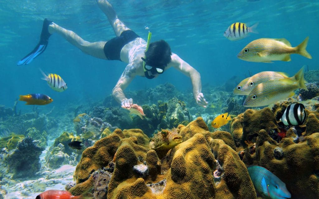 Labadee