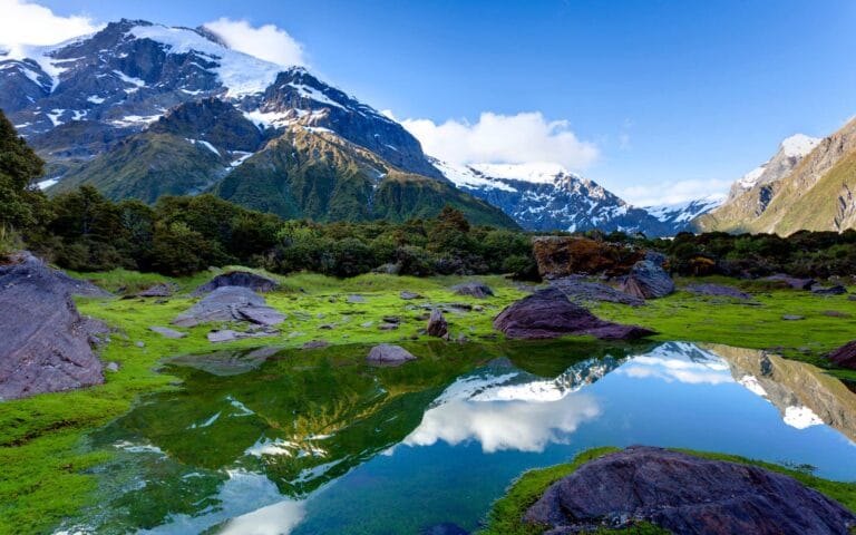 New Zealand
