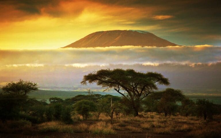 Kilimanjaro